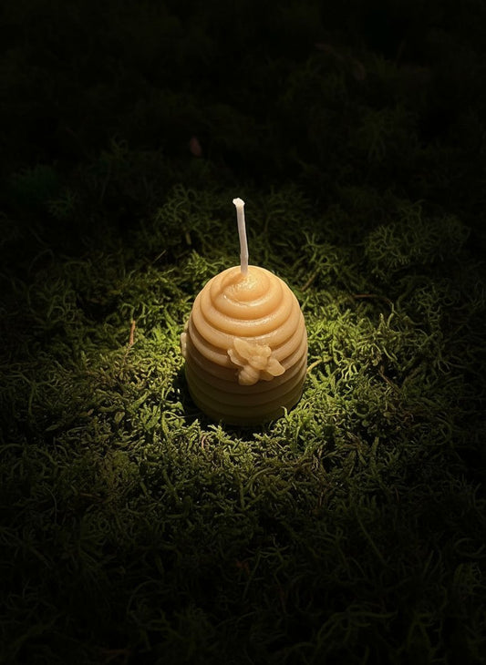 Pure beeswax beehive candle on moss.