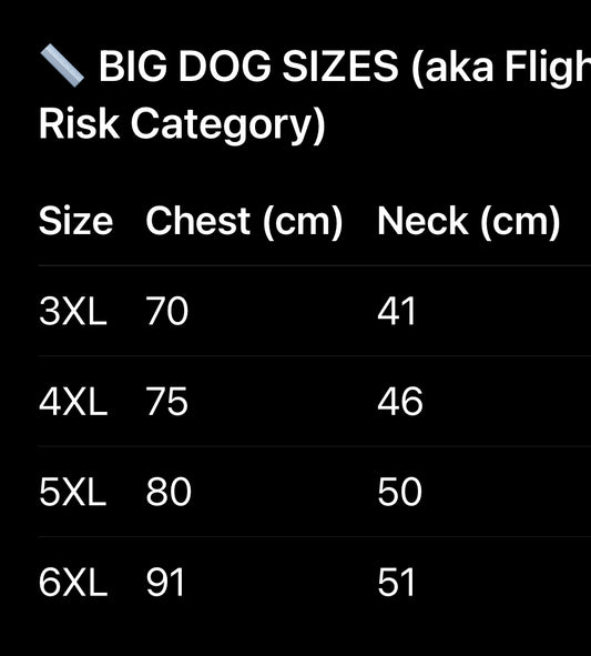 🐾 I’M LACY KEANE – Big Dog Resistance Tee