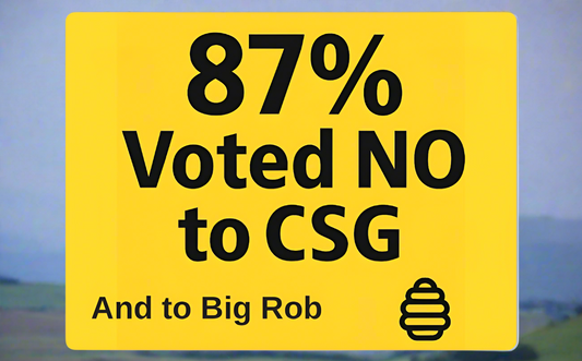 87% Voted NO – Car Magnet (Limited Edition)29.2x22.2cm