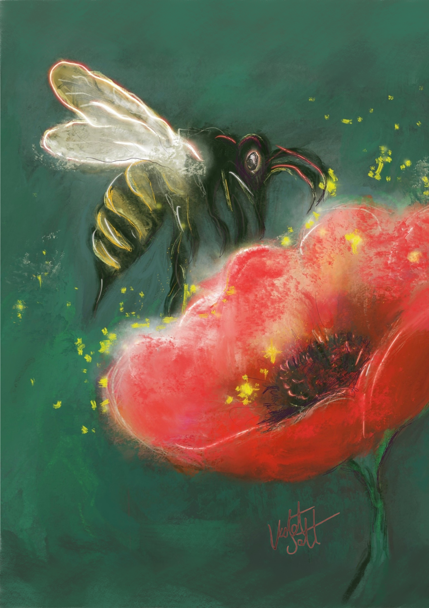 Bee and Poppy Fine Art Print by Violet & Salt. Framed.