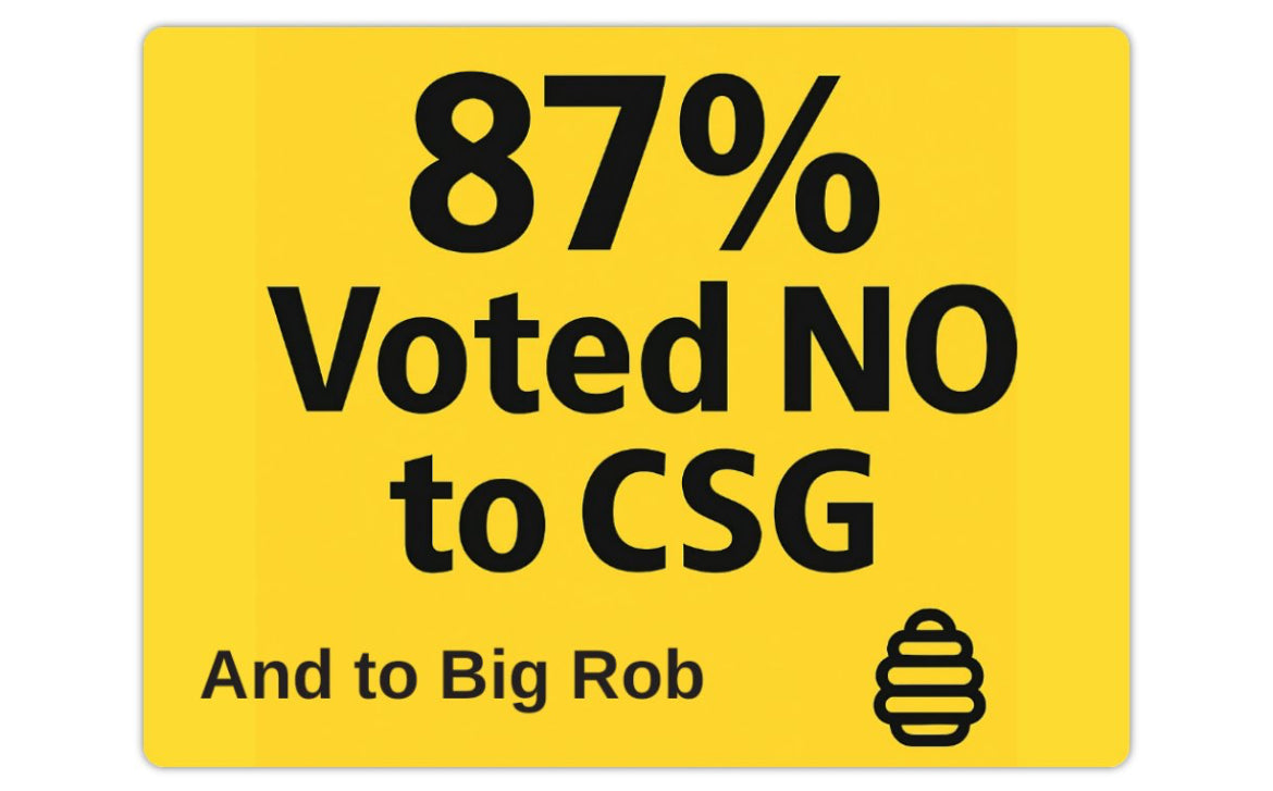 87% Voted NO – Car Magnet (Limited Edition)29.2x22.2cm