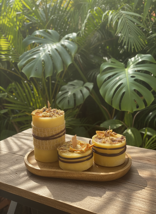 Pure beeswax candle trio with benzoin resin wax and dried citrus on a wooden tray against a green leafy background