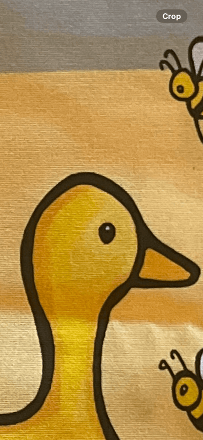 Cotton Tea Towel. Lismore ‘Locals Only’ ducks crossing