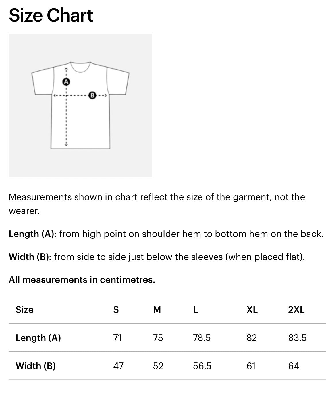 One Match Still Burns Tee – Minimalist Resistance Edition(women’s fit)organic cotton